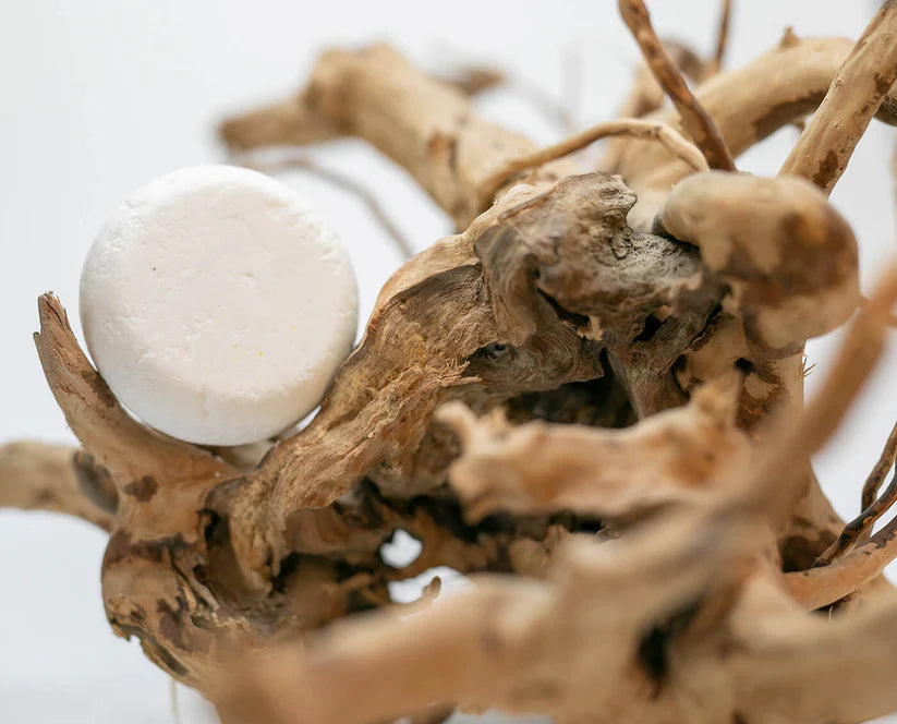 The Bar Nourish – Solid Shampoo